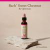 Bach Original Flower Remedies, Sweet Chestnut - Be Optimistic - Natural Homeopathic Flower Essence for Emotional Balance - Vegan, Gluten Free, Sugar Free - 20mL Dropper view 2