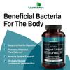 Futurebiotics Longest Living Acidophilus+, 100 Vegetarian Capsules view 4