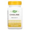 NATURE'S WAY Choline 500mg 100 Tablets view 1