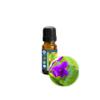 10ml (1/3oz) Violet Flower Absolute Essential Oil (Viola odorata) - 100% Pure Undiluted Uncut view 1