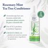Beauty Without Cruelty Conditioner, Rosemary Mint Tea Tree Aromatherapy Clarifying Hair & Scalp Treatment, SLS-Free, Vegan-Friendly & Cruelty-Free, 16 Oz view 3