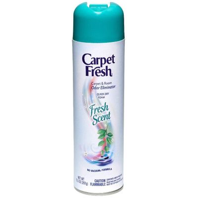 Carpet Fresh Quick-Dry Foam, Fresh Scent, 10 OZ