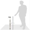 DMI Lightweight Aluminum Walking Cane with Derby-Top Handle, Floral view 2