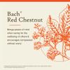 Bach Original Flower Remedies, Red Chestnut - Peace of Mind - Natural Homeopathic Flower Essence for Emotional Balance - Vegan, Gluten Free, Sugar Free - 20mL Dropper view 3