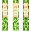 (3 PACK) - Pukka Herbs - Triple Mint Tea | 20 sachet | 3 PACK BUNDLE view 1