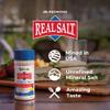 Redmond Real Sea Salt - Natural Unrefined Gluten Free Fine, 10 Ounce Shaker (1 Pack) view 3