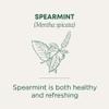 Traditional Medicinals Tea, Organic Spearmint, Supports Everyday Wellness, Healthy & Refreshing, 96 Tea Bags (6 Pack) view 3
