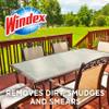 Windex Outdoor Window and Glass Cleaner for Hose Ammonia Free, Concentrated Formula for Deep Outdoor Clean, Patio Cleaner, Compatible With All Hoses, 32 Fl Oz (Pack of 8) view 4