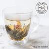 Numi Organic Tea Flowering Tea Gift Set, 6 Tea Blossoms with 16 Ounce Glass Teapot in Elegant Bamboo Case (Packaging May Vary) view 3