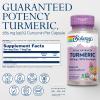 SOLARAY Turmeric 300 mg (120 CT) view 2