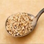 Steel Cut Oats, Organic, 50# Bulk