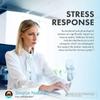 Source Naturals Wellness Formula Bio-Aligned Vitamins & Herbal Defense Advanced Immune Support* - Dietary Supplement & Immunity Booster - 240 Capsules view 4