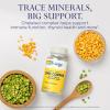 SOLARAY Zinc Copper Amino Acid Chelate - Immune Support Supplement w/Chelated Zinc 50mg - Bone, Skin, Heart Health and Thyroid Support - with Iodine from Kelp, 60-Day Guarantee, 100 Serv, 100 VegCaps view 3