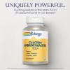 Solaray Calcium Hydroxyapatite 1000mg - Calcium Supplements for Women & Men, Hydroxyapatite Powder Capsules, Healthy Teeth and Bone Support - 120 Capsules view 3