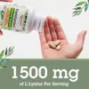 Quantum Health Super Lysine+ / Advanced Formula Lysine+ Immune Support with Vitamin C, Echinacea, Licorice, Propolis, Odorless Garlic (90 Tablets) view 4