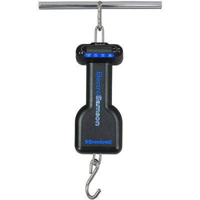 Salter Brecknell ElectroSamson Digital Balance (45kg)