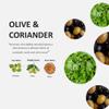 Coriander and Olive Cucina Dish Detergent 500ML view 2