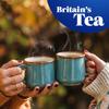 Tetley - Original Tea Bags 240 - 750g view 2