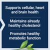 Life Extension Lightly Caffeinated Mega Green Tea Extract, Camellia sinensis Extract with Concentrated EGCG polyphenol Content, Gluten-Free, Non-GMO, Vegetarian, 100 Capsules view 4