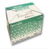 `Specialist Plaster Bandages X-Fast Setting 5"x5yds Bx/12 view 1