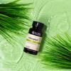Nature's Sunshine Chlorophyll, 60 Softgel Capsules: Support Digestion, Immunity & Detoxification with Internal Deodorant Benefits. Easy-to-Swallow Capsules Promote Overall Well-Being & Energy view 2