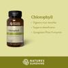 Nature's Sunshine Chlorophyll, 60 Softgel Capsules: Support Digestion, Immunity & Detoxification with Internal Deodorant Benefits. Easy-to-Swallow Capsules Promote Overall Well-Being & Energy view 3