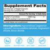 Doctors Best Acetyl-L-Carnitine, Supports Mental Focus & Alertness, Non-GMO, Gluten Free, Soy Free, Vegan 120 Veggie Caps view 4