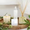 APOTHIA - IF Aromatic Diffuser | Modern White Floral & Citrus | Premium Essential Oils | Up to 12 Months | 7 oz | 200 ml | Small Batches for Luxury Quality in Elegant Glass Bottle view 4