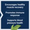 Life Extension Arginine Ornithine Powder, Promotes Muscle Health & Recovery, Gluten Free, Non-GMO, net Weight 150 Grams view 4