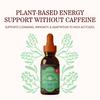 Herbs Etc. ChlorOxygen Chlorophyll Concentrate Original Drops, 1 fl oz view 3