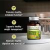 Banyan Botanicals Triphala Guggulu  Organic Triphala Supplement with Guggulu Resin  Herbal Detox Supplement for Supporting Healthy Digestion*  90 Tablets  Non-GMO Sustainably Sourced Vegan view 2