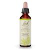 Bach Original Flower Remedies, White Chestnut - Calm The Mind - Natural Homeopathic Flower Essence for Emotional Balance - Vegan, Gluten Free, Sugar Free - 20mL Dropper view 1