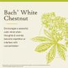 Bach Original Flower Remedies, White Chestnut - Calm The Mind - Natural Homeopathic Flower Essence for Emotional Balance - Vegan, Gluten Free, Sugar Free - 20mL Dropper view 3