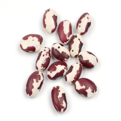 Anasazi Beans, 10 lb  Heirloom Dried Southwest Speckled Bean, Pinto Alternative Bulk by Woodland Gourmet