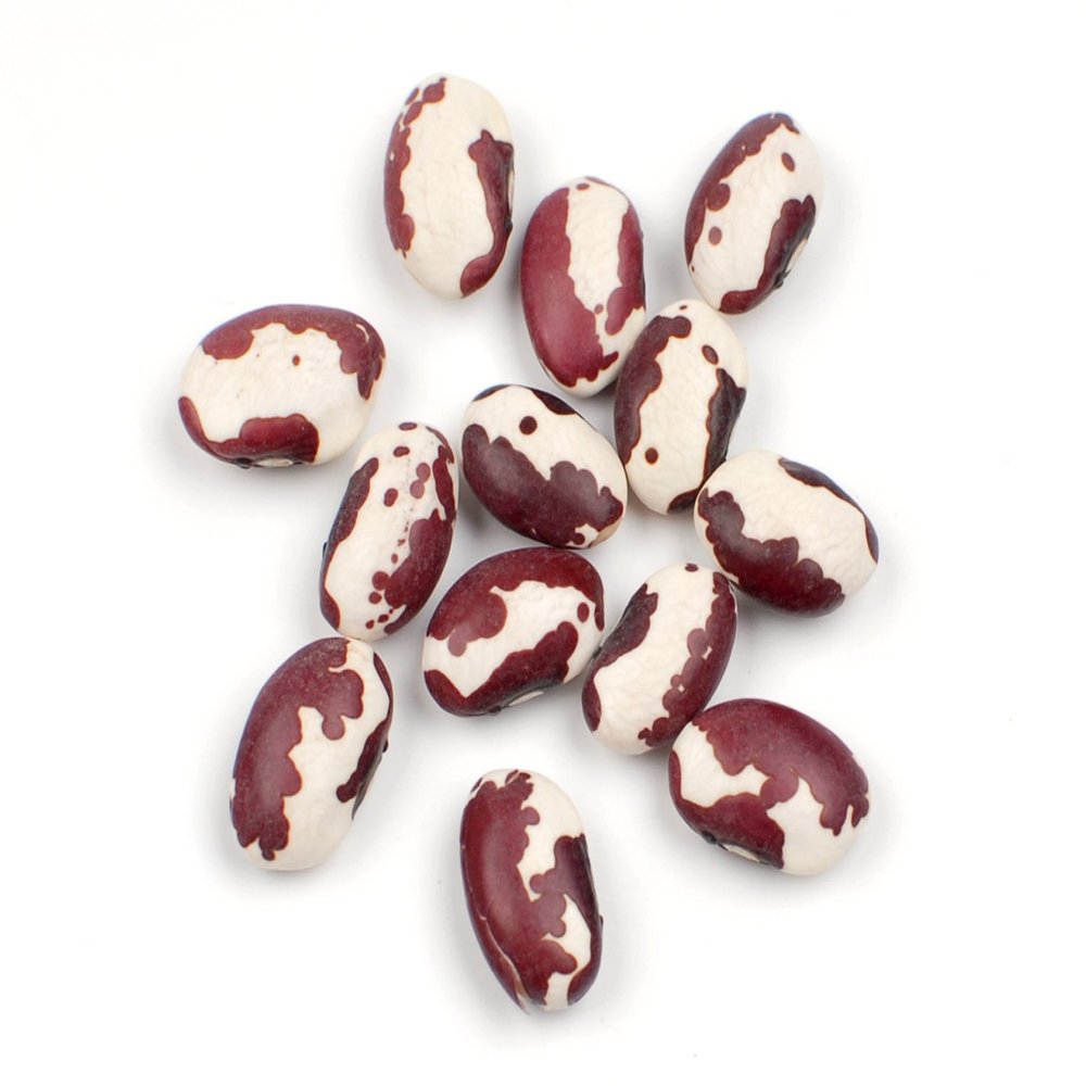 Anasazi Beans, 10 lb Heirloom Dried Southwest Speckled Bean, Pinto Alternative Bulk by Woodland Gourmet