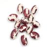 Anasazi Beans, 10 lb  Heirloom Dried Southwest Speckled Bean, Pinto Alternative Bulk by Woodland Gourmet view 1