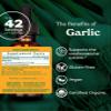 Herb Pharm Certified Organic Garlic Liquid Extract for Cardiovascular and Circulatory Support - 1 Ounce view 2
