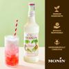 Monin - Coconut Syrup, Creamy Tropical Flavored Syrup, Coffee Syrup, Natural Flavor Drink Mix, Simple Syrup for Coffee, Lemonade, Cocktails, & More, Gluten-Free, Non-GMO, Clean Label (750 ml) view 4