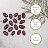 Roland Foods Whole Pitted Kalamata Olives From Greece, Specialty Imported Food, 5 Pound, Pack of 1 view 3