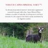 Mt. Capra Mineral Whey | A Whole Food, Bio-Available Mineral/Electrolyte Powder Supplement from Goat Milk Whey, Rich in Potassium, Alkalizing | 28 Servings - 25.4 oz view 4