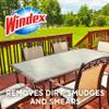 Windex Outdoor Window and Glass Cleaner for Hose Ammonia Free, Concentrated Formula for Deep Outdoor Clean, Patio Cleaner, Compatible With All Hoses, 32 Fl Oz (Pack of 2) view 3