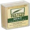 Tea Tree Therapy Mint Toothpicks 100 Ct (Pack of 1) view 1