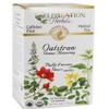 CELEBRATION HERBALS Organic Oatstraw Green Flowering Tea, 24 CT view 1