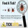 Center for Wilderness Safety Tick Identification Cards (Set of 10 Cards) view 3