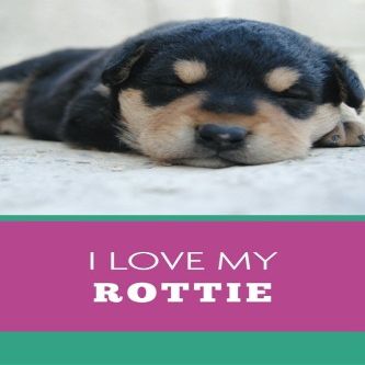 I Love My Rottie (6x9 Journal): Lightly Lined, 120 Pages, Perfect for Notes and Journaling