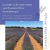 Absolute Aromas High Altitude Lavender lavandula angustifolia Essential Oil 100 Pure Natural Vegan Undiluted and CrueltyFree for use in Diffusers Oil Burners and Aromatherapy Blends, 10 Millilitre view 2