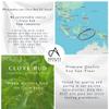 Absolute Aromas Clove Essential Oil 10ml view 4
