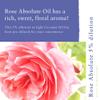 Absolute Aromas Rose Absolute 5% Dilution 10ml - Pure Rose Oil Diluted to 5% in Coconut Oil - 100% Natural, Vegan and Cruelty-Free - A Natural Aphrodisiac and Perfume view 2