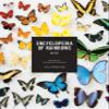 Encyclopedia of Rainbows Notes: 20 Different Notecards & Envelopes (Rainbow Cards, Colorful Blank Stationery) view 1