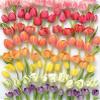 Encyclopedia of Rainbows Notes: 20 Different Notecards & Envelopes (Rainbow Cards, Colorful Blank Stationery) view 2